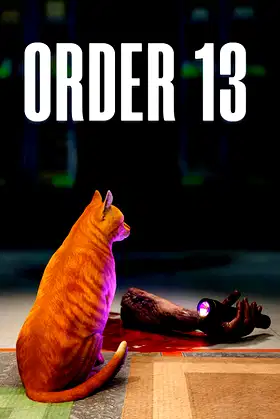 ORDER 13 poster