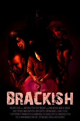 Brackish poster