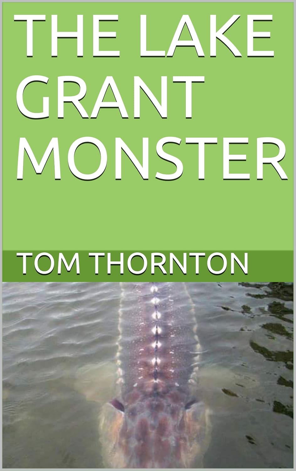 THE LAKE GRANT MONSTER poster
