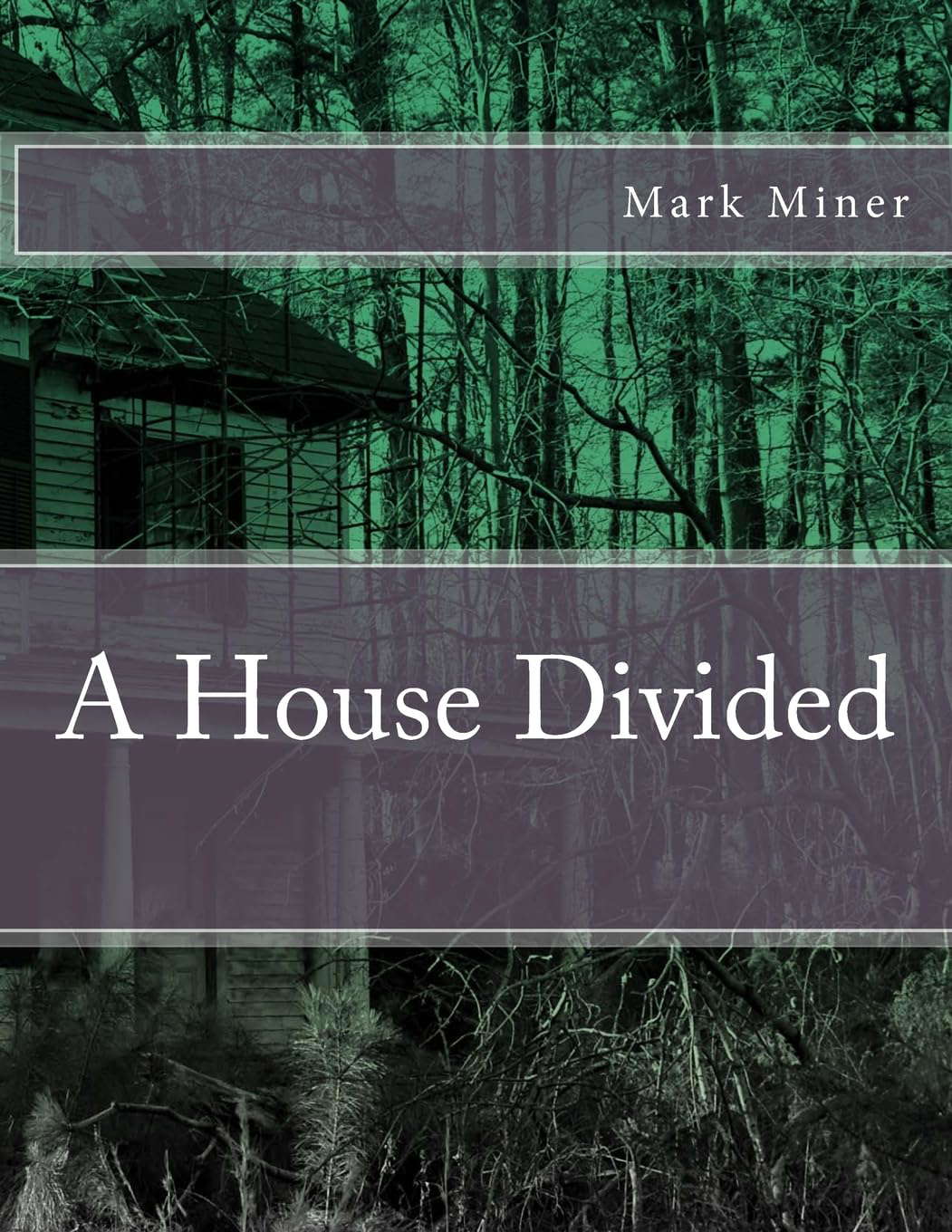A House Divided poster