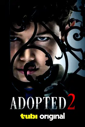 Adopted 2 poster