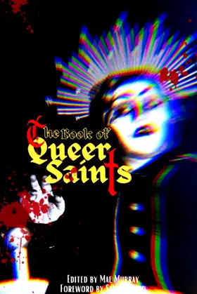 The Book of Queer Saints poster
