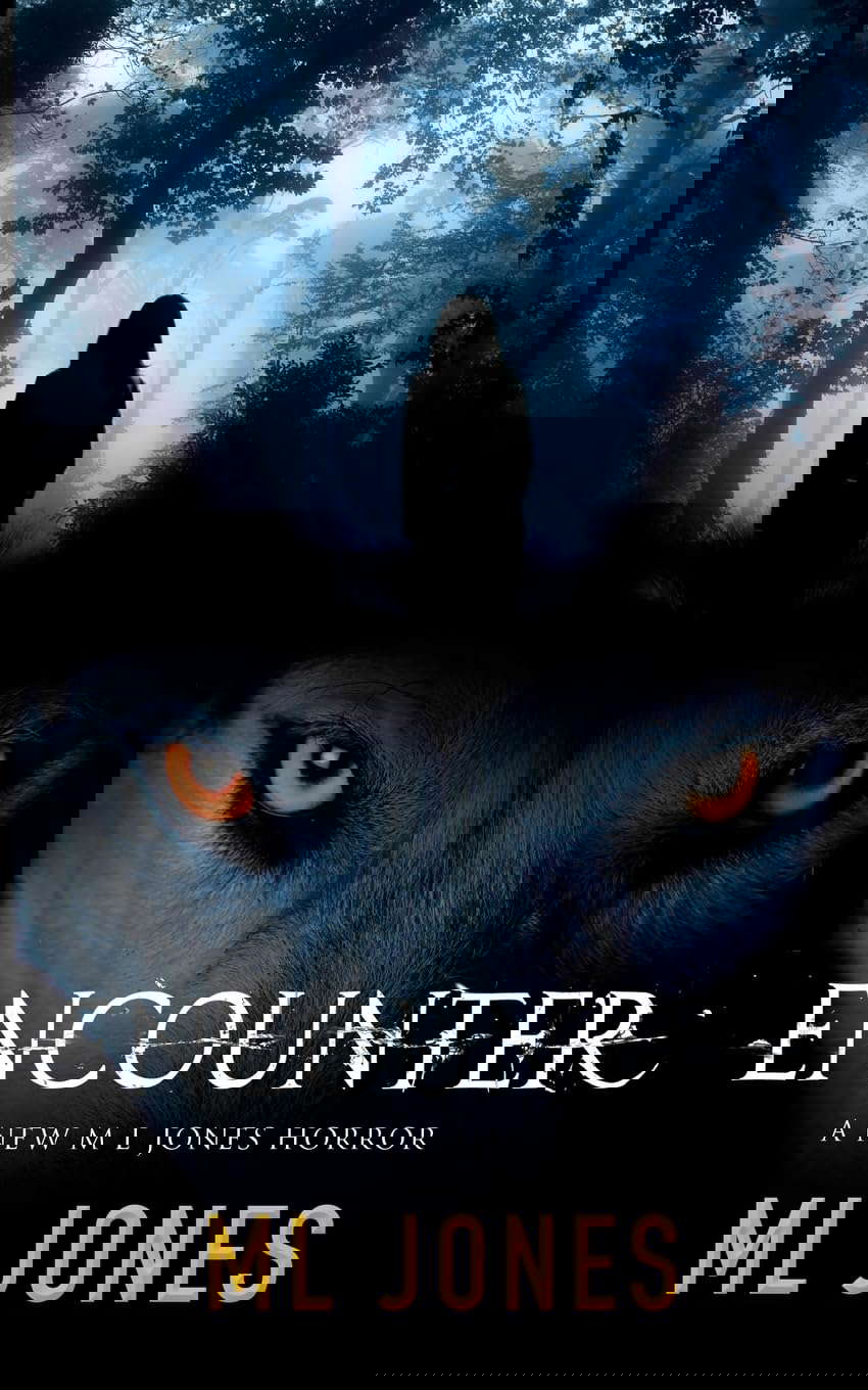 Encounter poster
