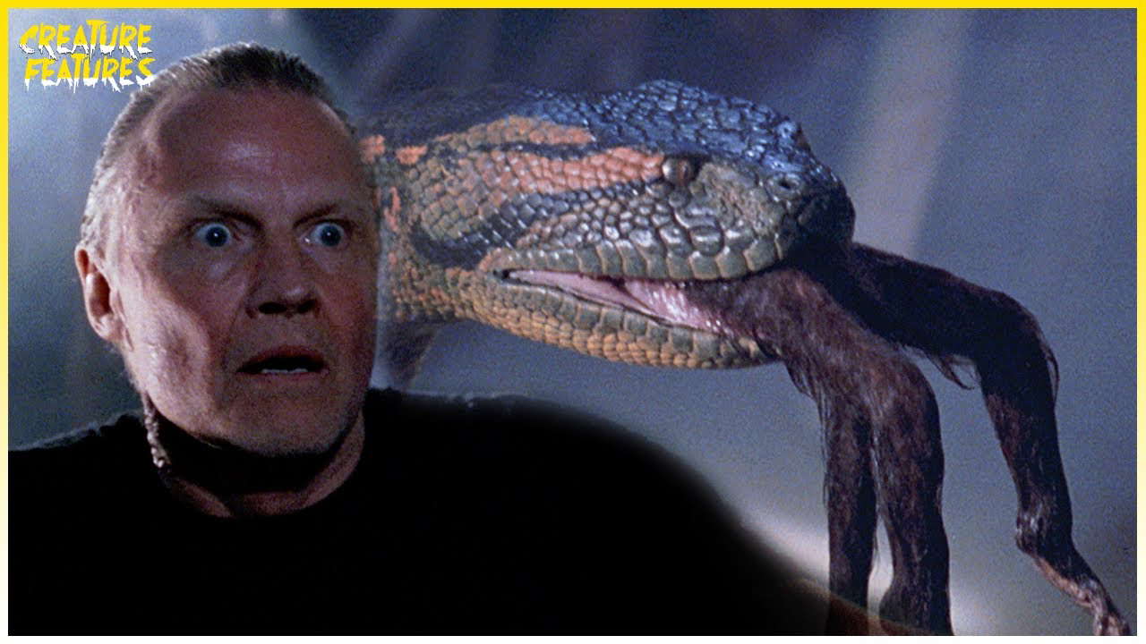 Anaconda Attacks By Night