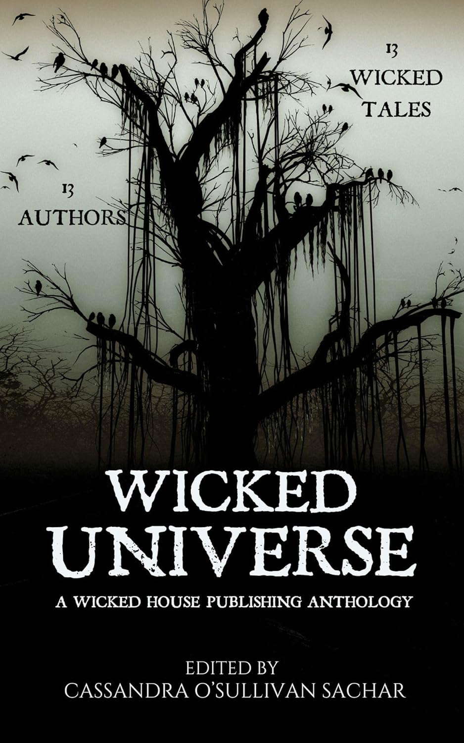 Wicked Universe: A Wicked House Publishing Anthology poster