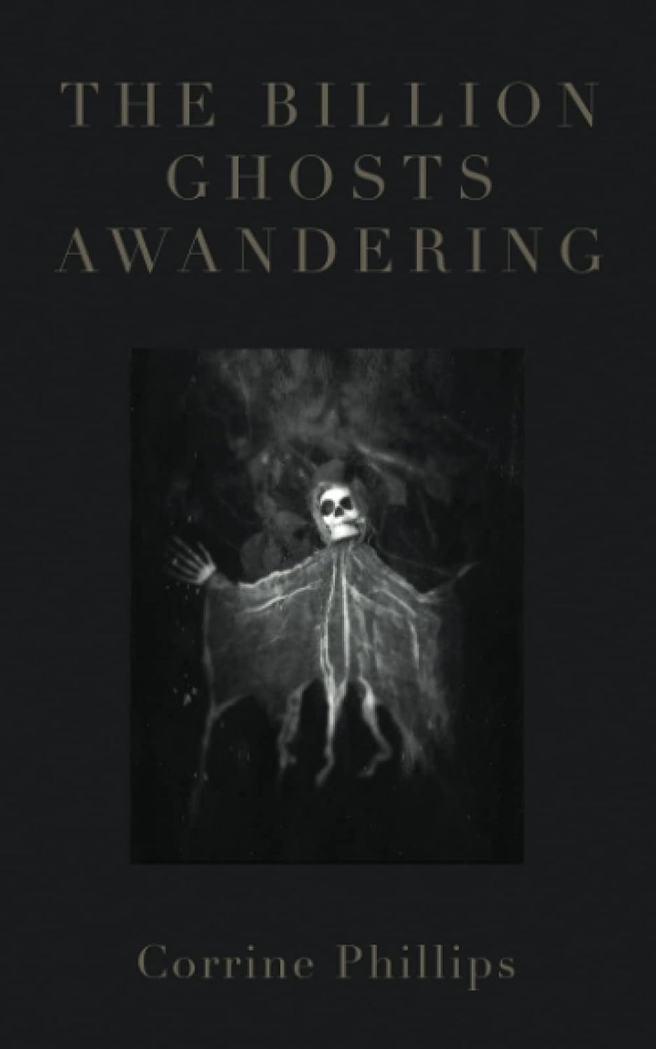 The Billion Ghosts Awandering poster