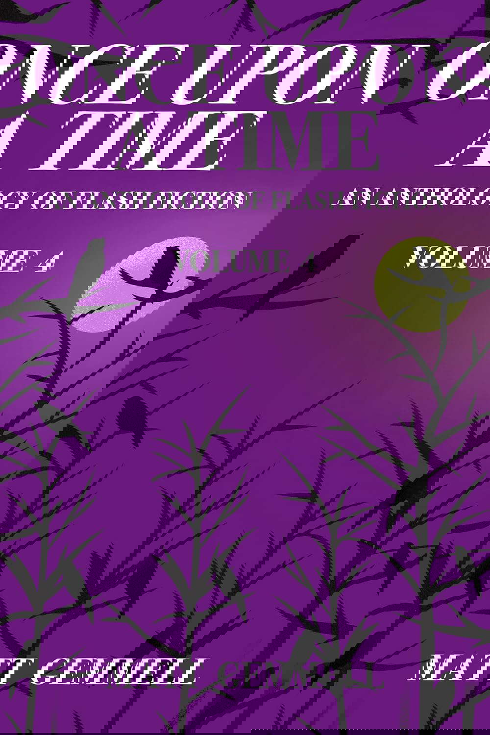 Once Upon A Time — Volume 4: An Anthology of Flash Fiction poster
