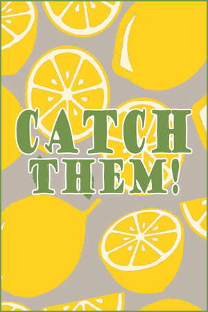 Catch them! poster