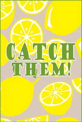 Catch them! poster