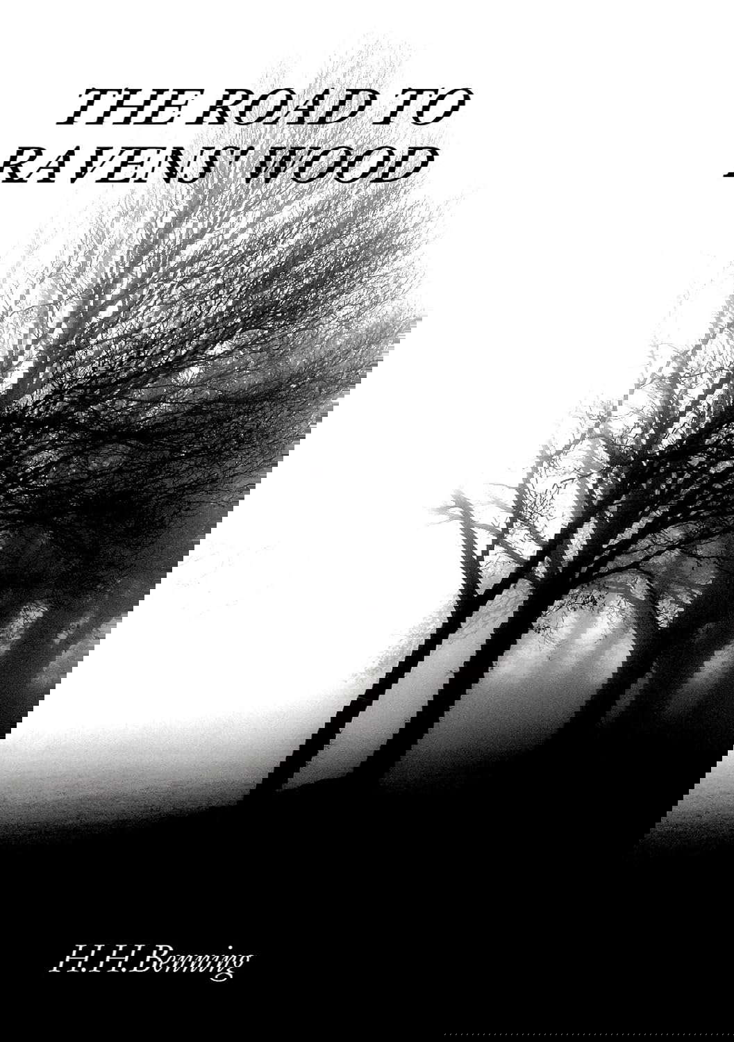 THE ROAD TO RAVENS' WOOD poster