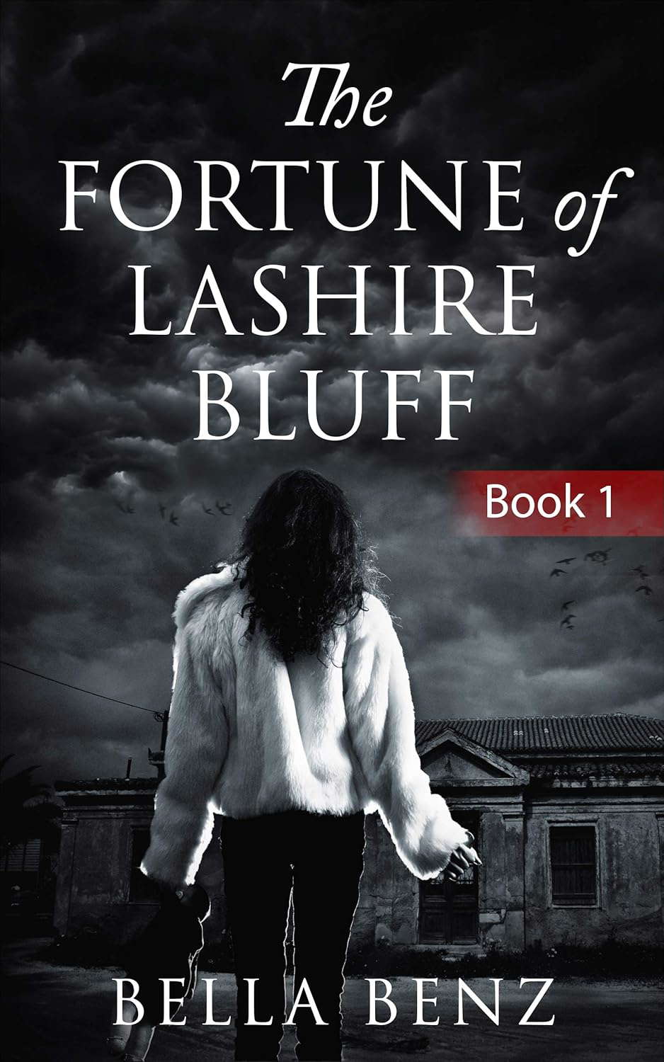 The Fortune of Lashire Bluff: Book One poster