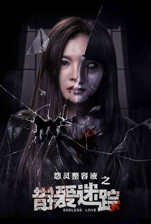 错爱迷踪 poster