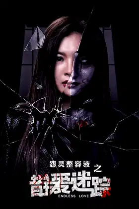 错爱迷踪 poster