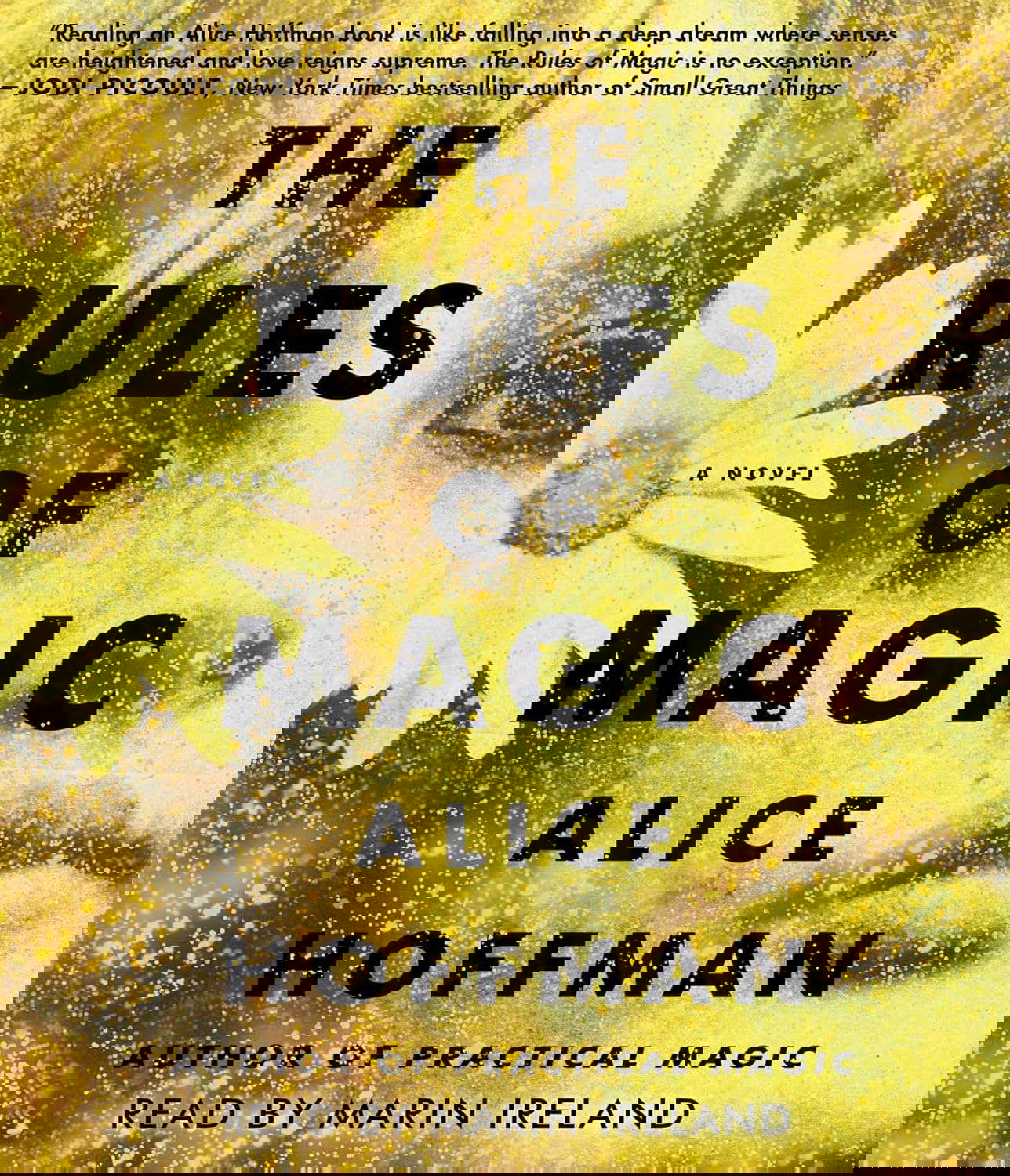 The Rules of Magic: A Novel (2) poster