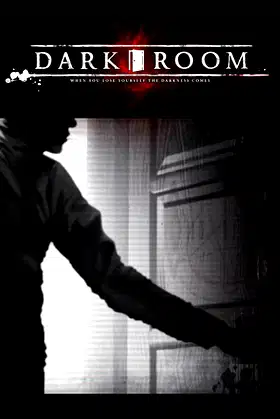 Dark Room poster