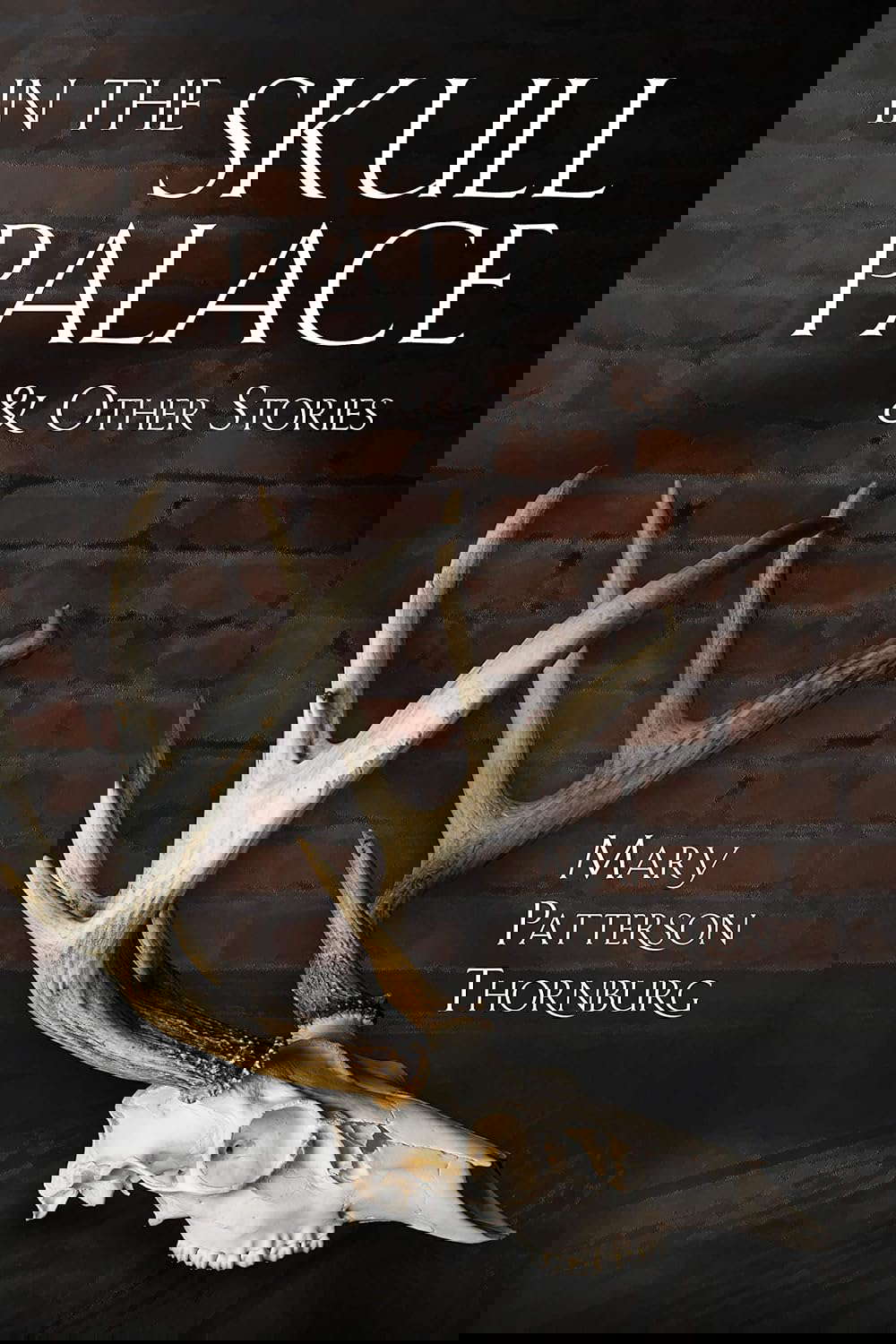 In the Skull Palace and Other Stories poster