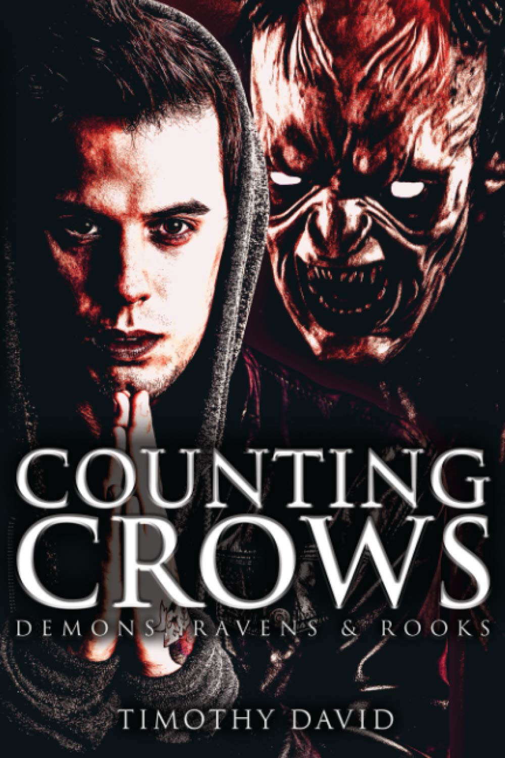 Counting Crows: Demons, Ravens & Rooks poster