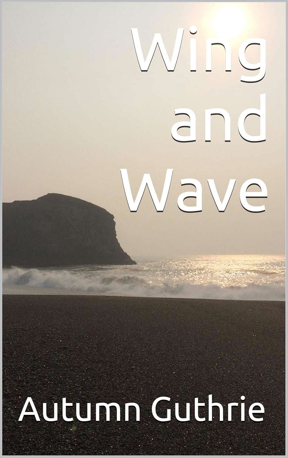 Wing and Wave (Of Air and Sea Book 1) poster