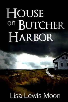 House On Butcher Harbor poster