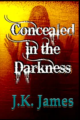 Concealed in the Darkness poster