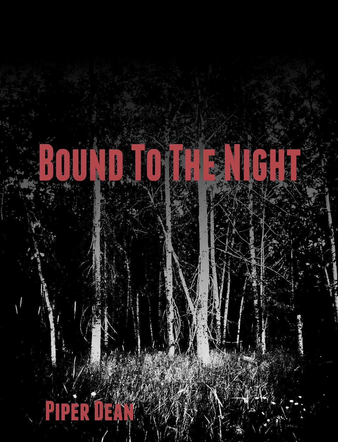 Bound To The Night poster