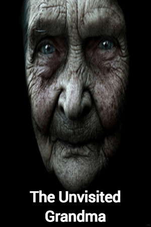 The Unvisited Grandma poster