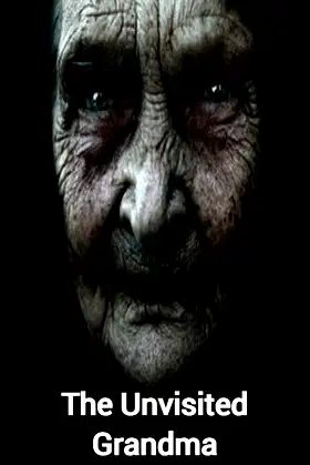 The Unvisited Grandma poster