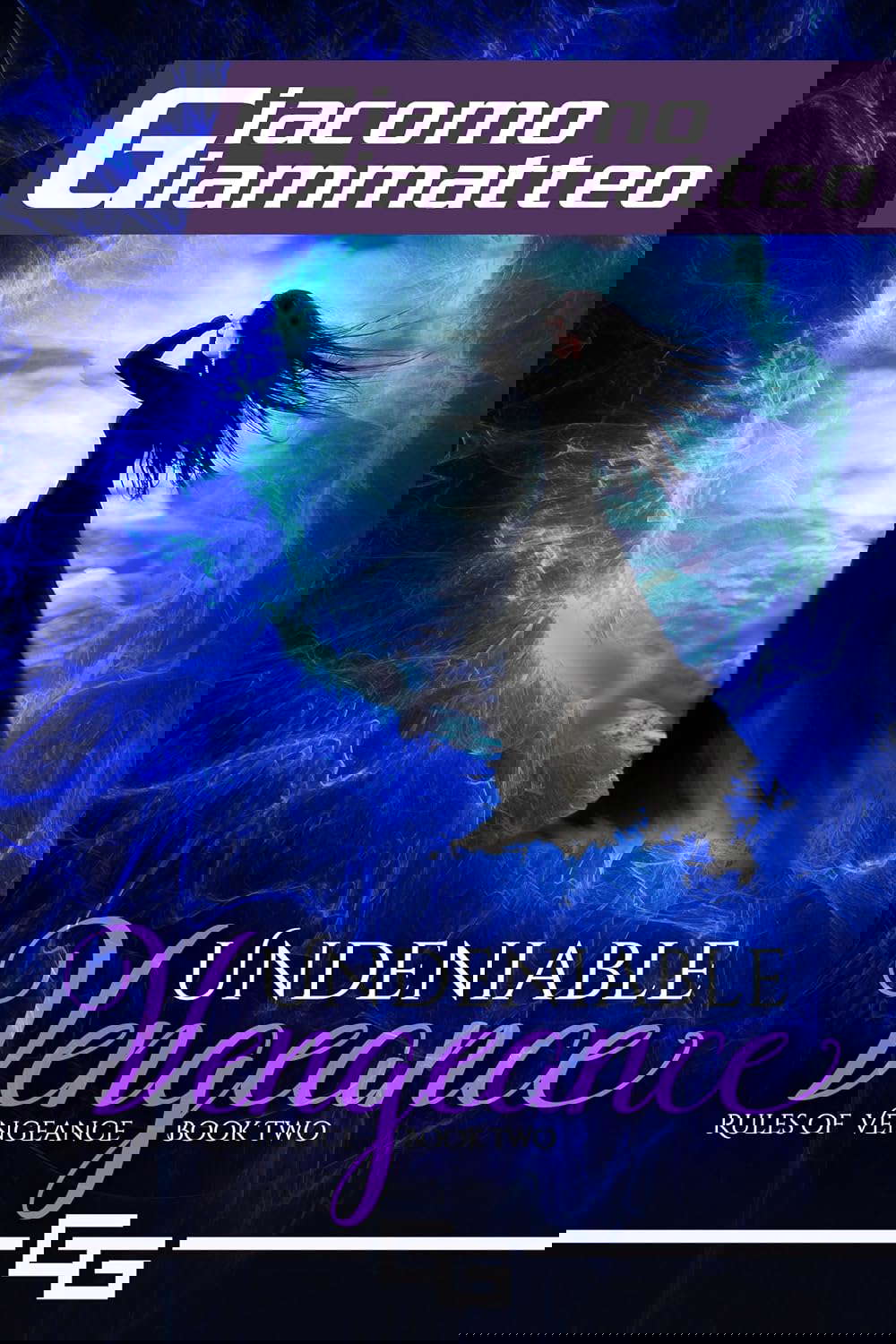 Undeniable Vengeance: Rules of Vengeance, Book II poster