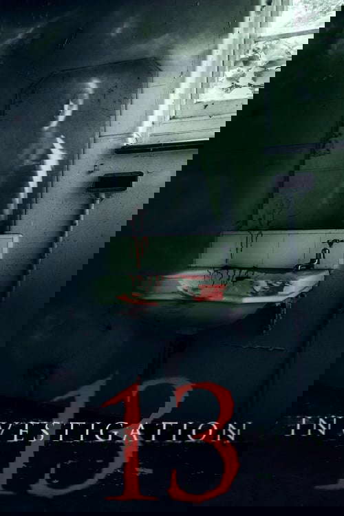 Investigation 13 poster