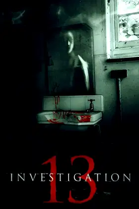 Investigation 13 poster