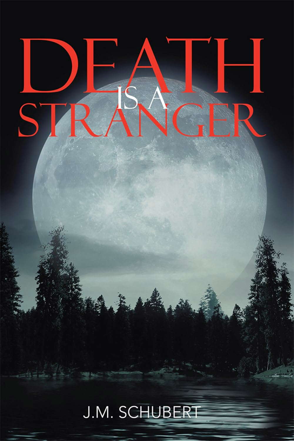 Death Is a Stranger poster