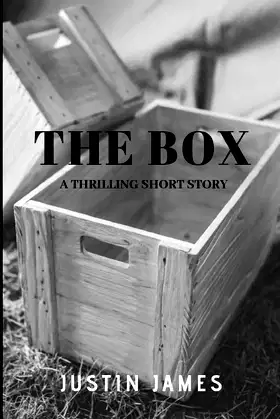 The Box poster