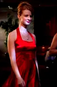 The Red Dress poster