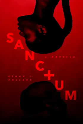 Sanctum poster