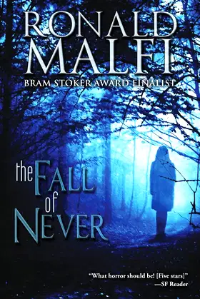 The Fall of Never poster
