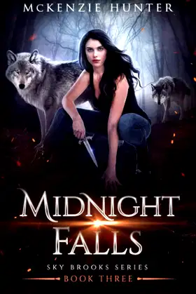 Midnight Falls (Sky Brooks Series) poster