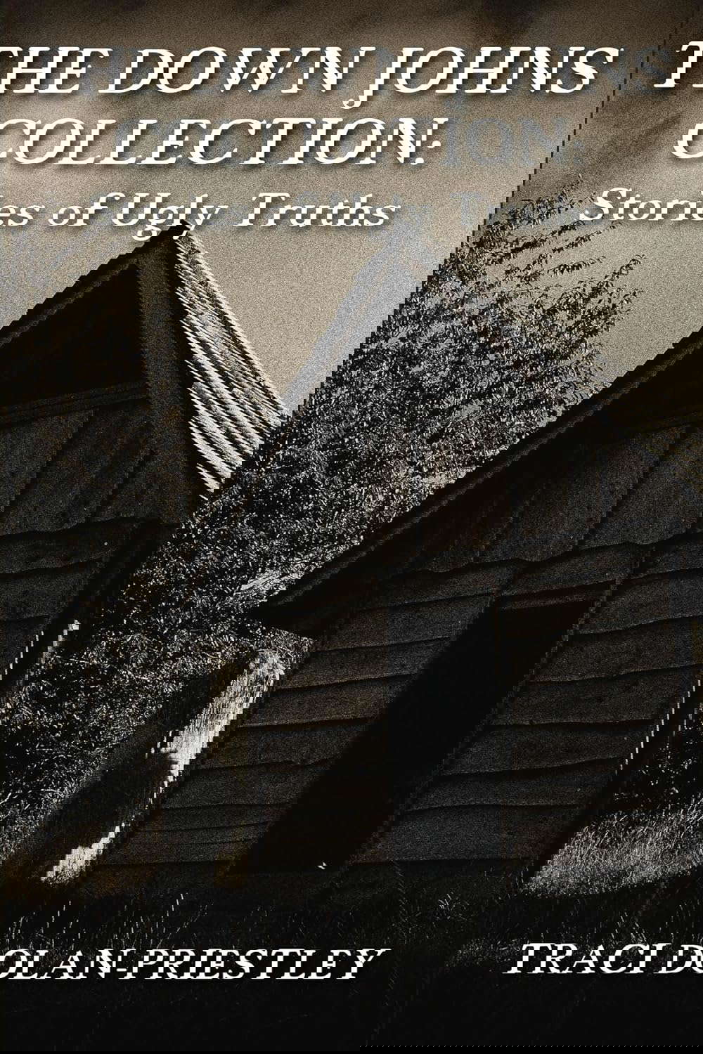 The Down Johns Collection: Stories of Ugly Truths poster