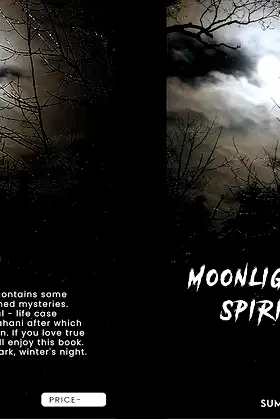 Moonlight Become Spirit Night poster