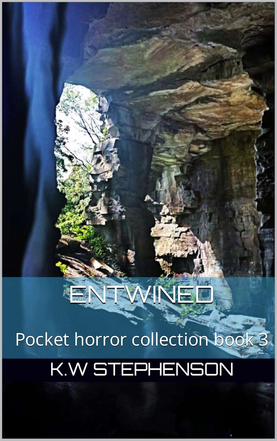 Entwined (Pocket horror stories collection Book 3) poster