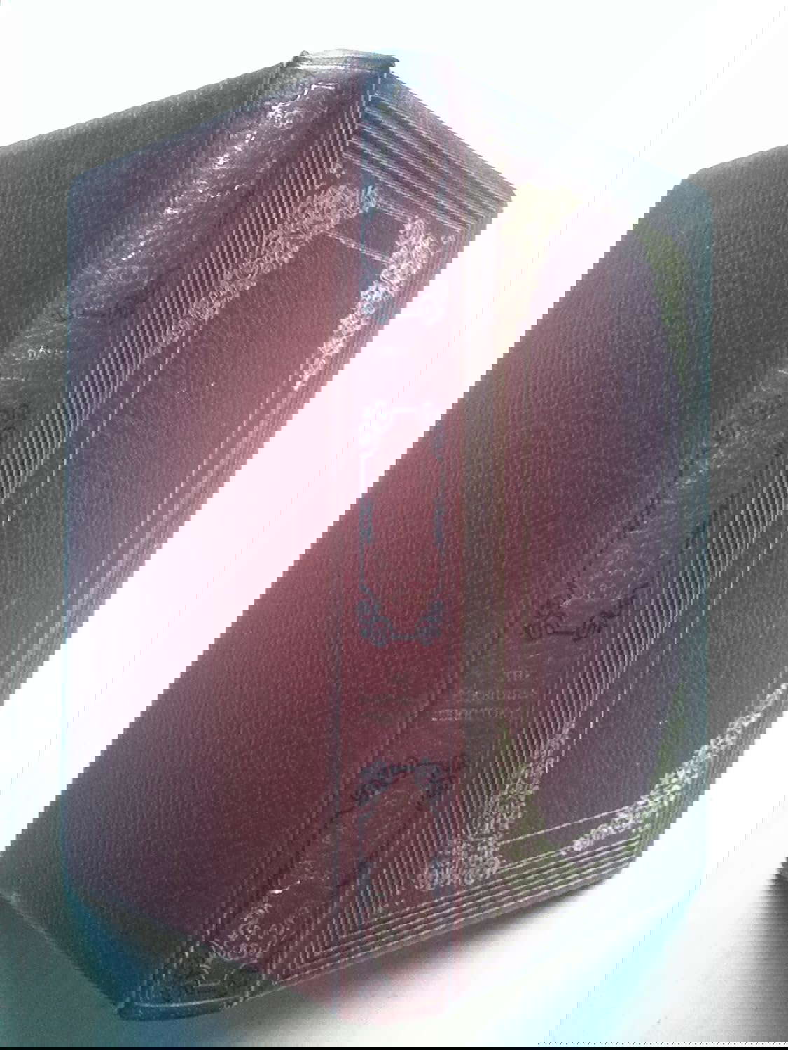 The forbidden territory poster