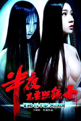 Who In The Mirror poster