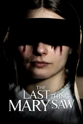 The Last Thing Mary Saw poster