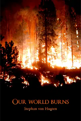Our world burns poster