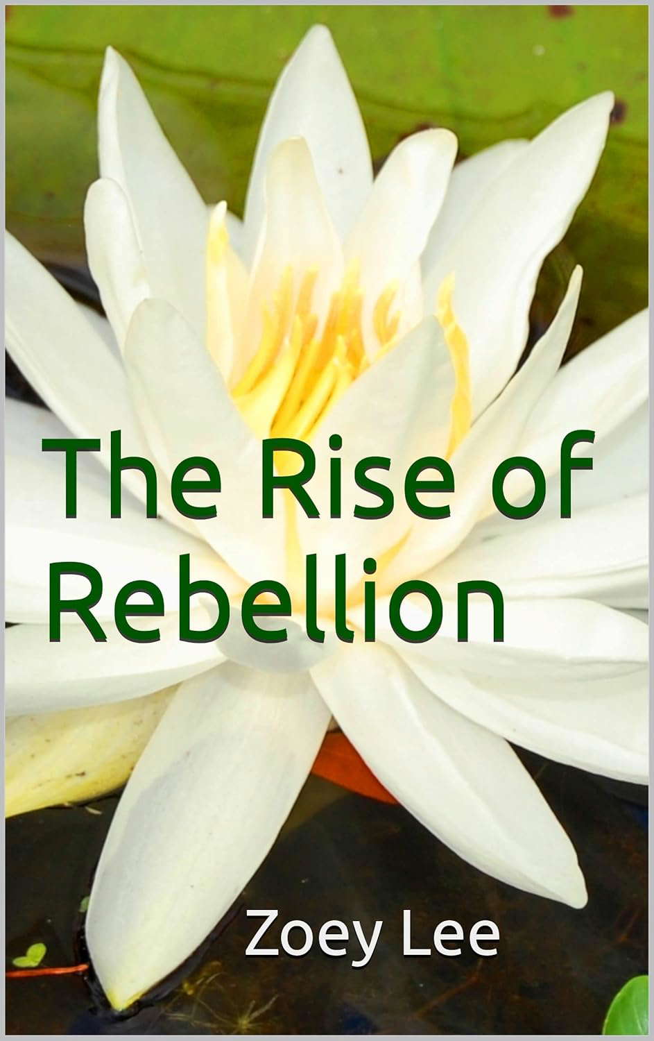 The Rise of Rebellion (The Darkling Chronicles Book 2) poster