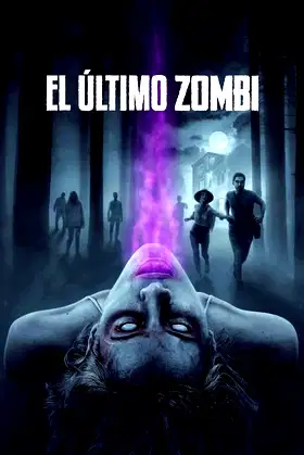 The Last Zombie poster