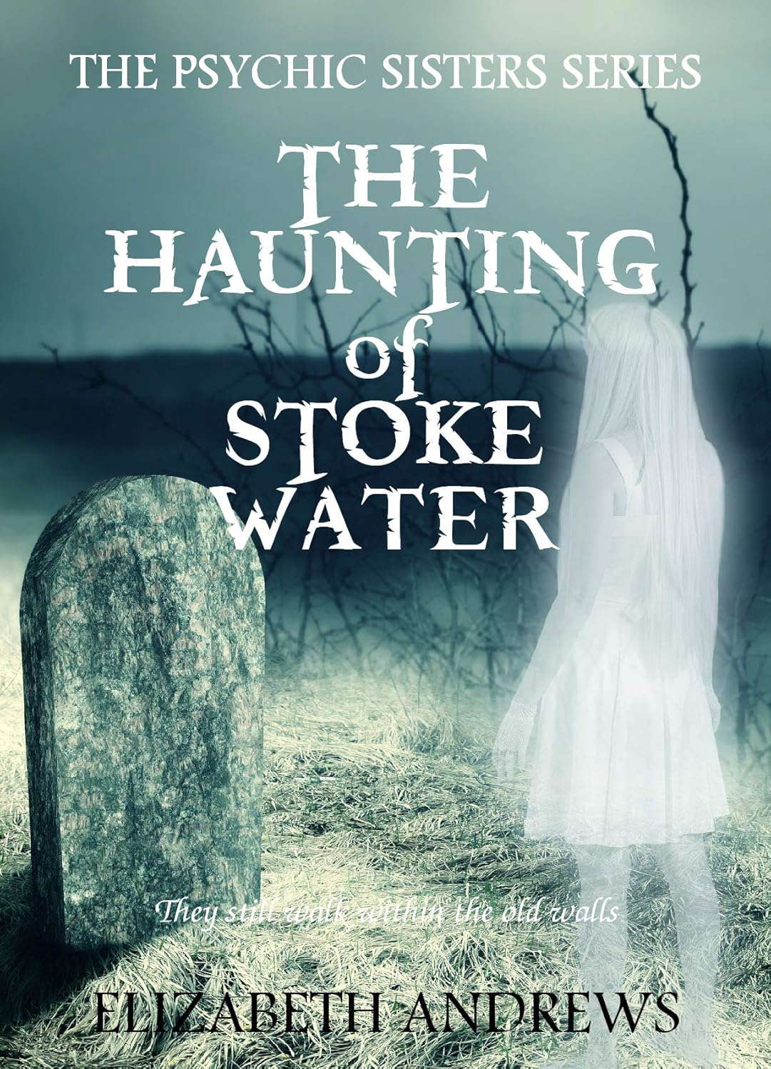 The Haunting of Stoke Water: The Psychic Sisters Series. Paranormal Mystery poster