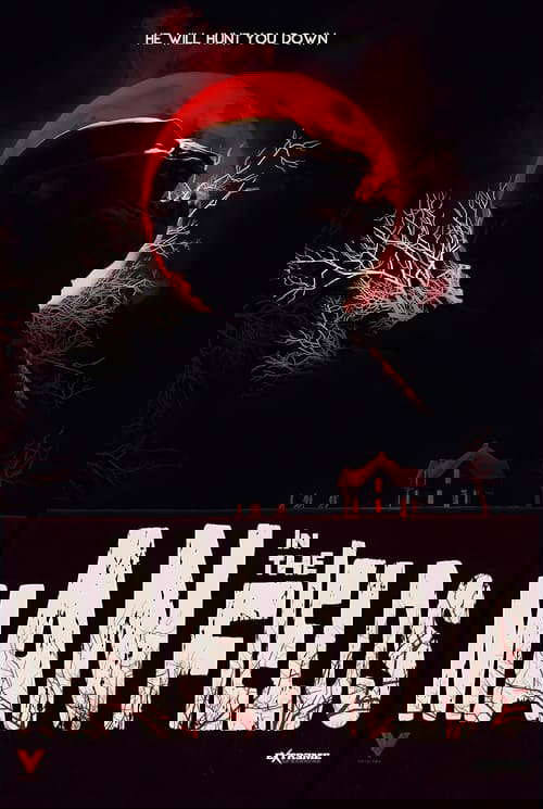 Man in the Fields poster