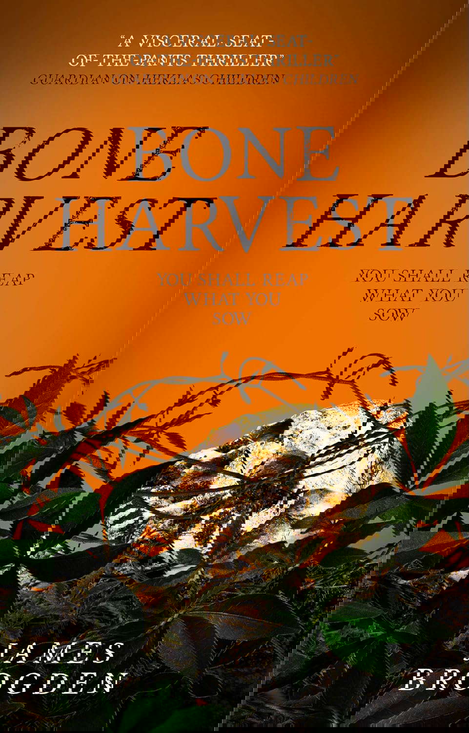 Bone Harvest poster