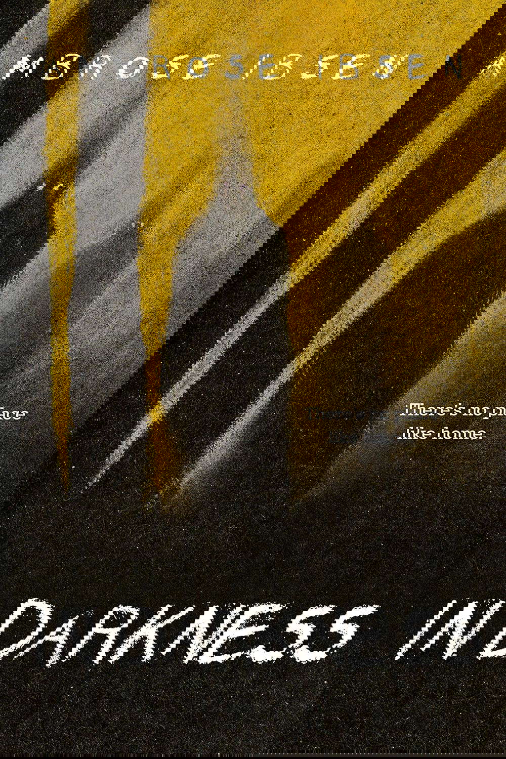 In Darkness (Black Acres Book 4) poster