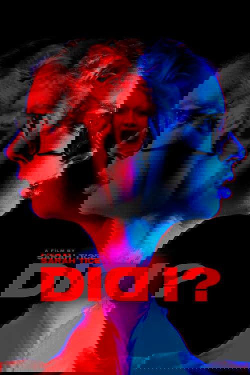 DID I? poster